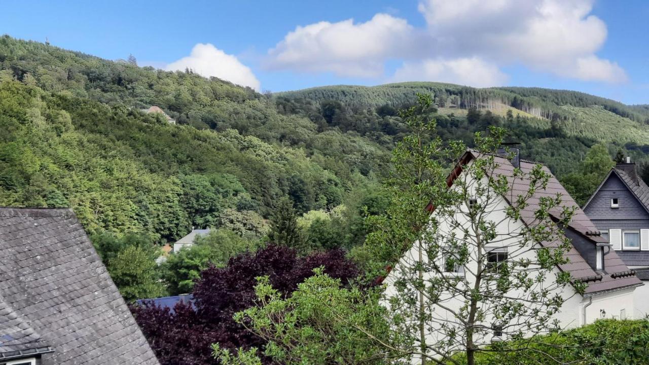 Brilon-Wald Yalet Ferienhaus 2 Appartementen Vlakbij Willingen מראה חיצוני תמונה