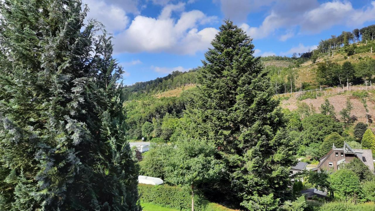 Brilon-Wald Yalet Ferienhaus 2 Appartementen Vlakbij Willingen מראה חיצוני תמונה